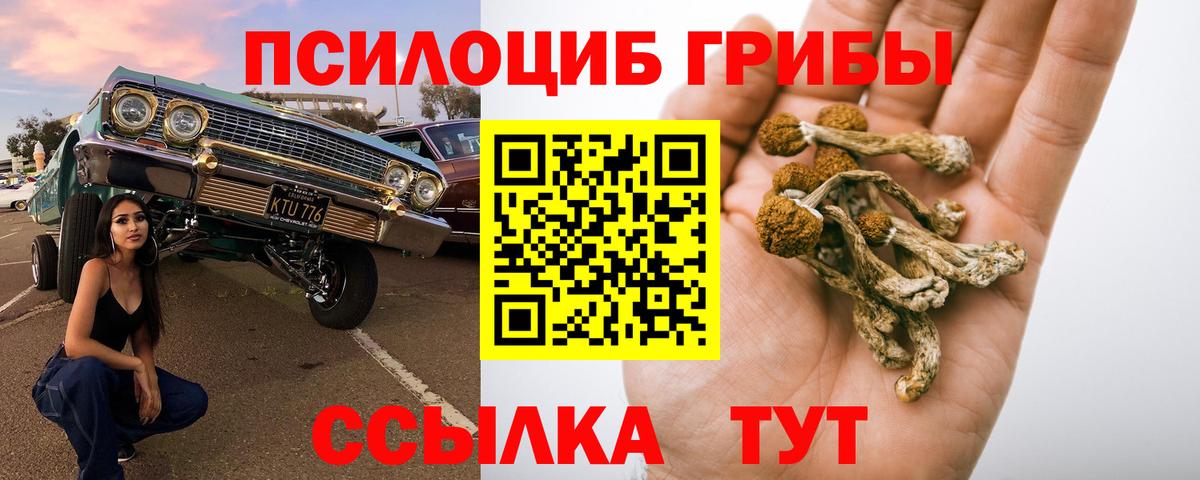 Псилоцибиновые грибы Cubensis  Вход с VPN  цены наркотик  Сарапул 